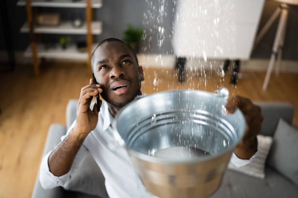 Best Water damage contractors near me  in The Pinehills, MA