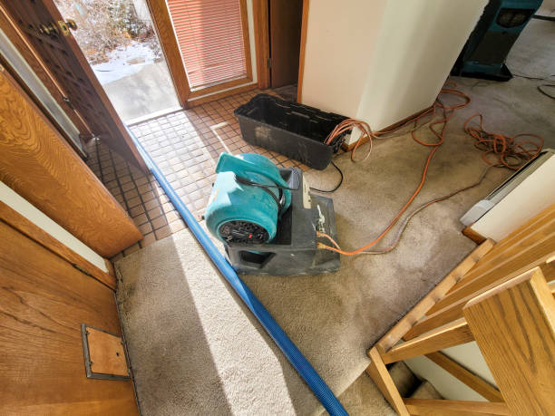  The Pinehills, MA Water damage restoration Pros