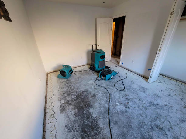 Best Ceiling water damage repair  in The Pinehills, MA