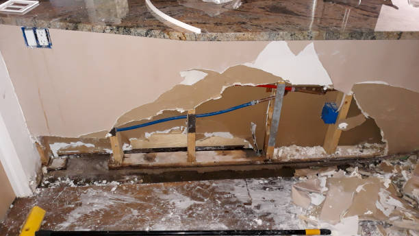 Best Water damage cleanup near me  in The Pinehills, MA