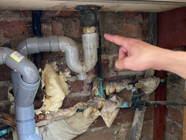 Best Commercial water damage restoration  in The Pinehills, MA