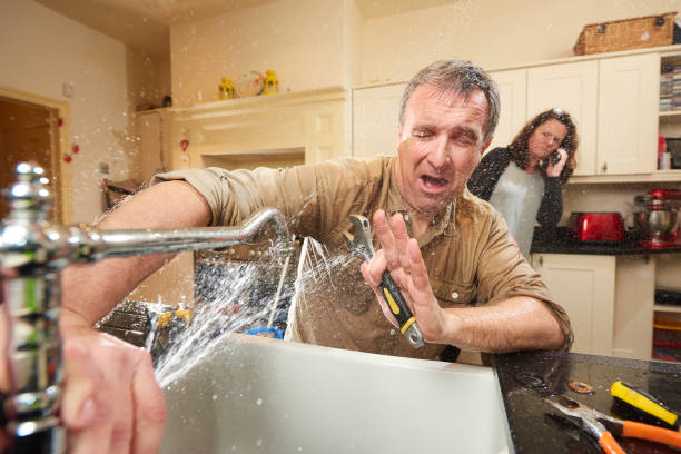 Best Water damage restoration near me  in The Pinehills, MA